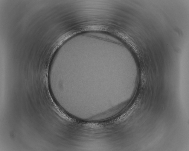 X0000112001033200908311110