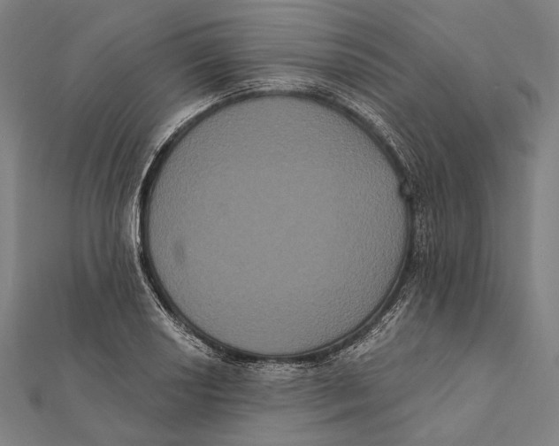 X0000112001034200908311110