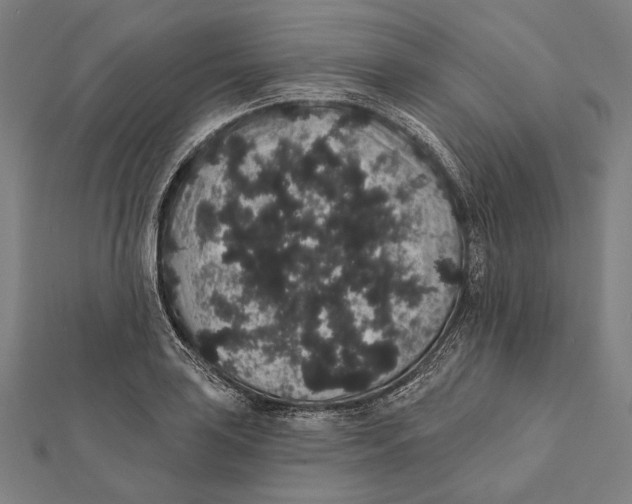 X0000112001035200908311110