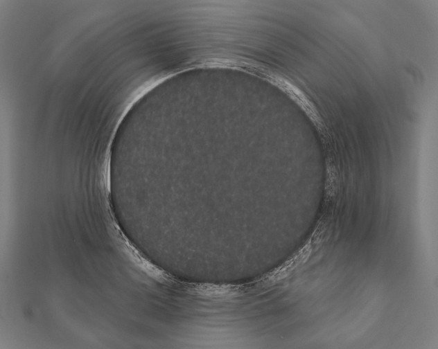 X0000112001036200908311110