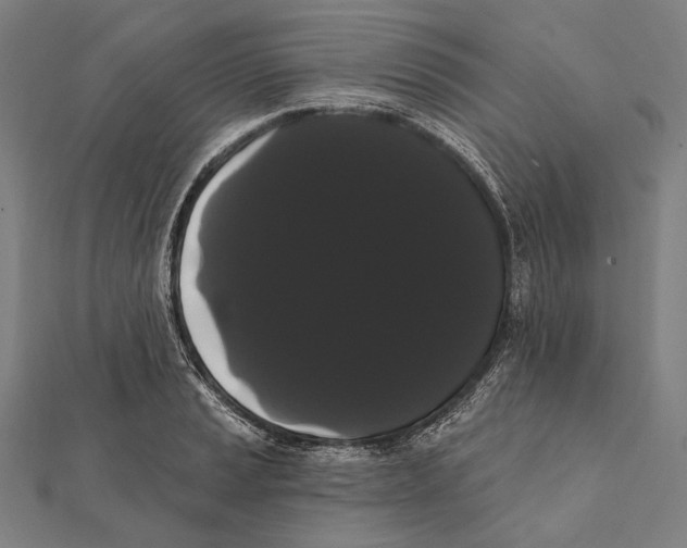 X0000112001037200908311110