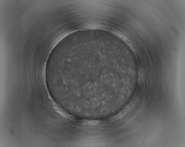 X0000112001039200908311110