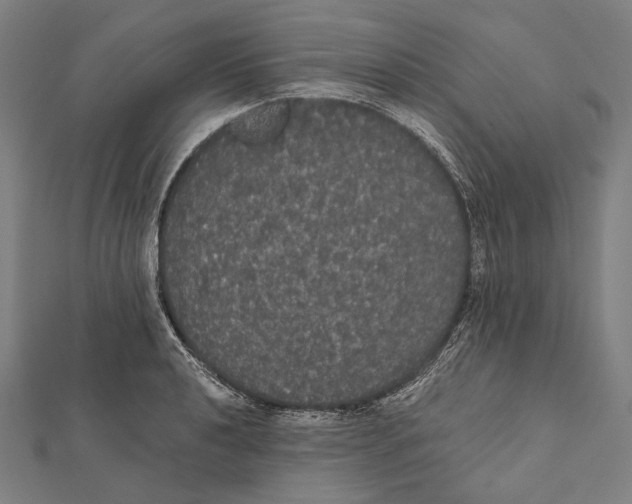 X0000112001040200908311110