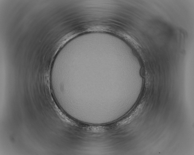 X0000112001041200908311110