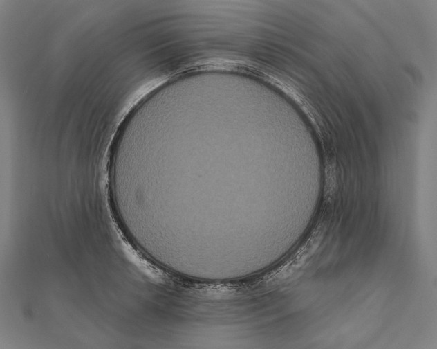 X0000112001042200908311110