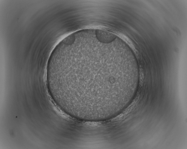 X0000112001044200908311110