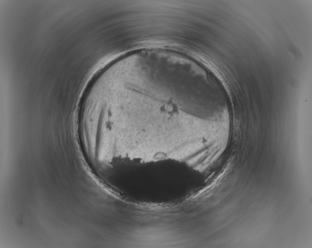 X0000112001045200908311110