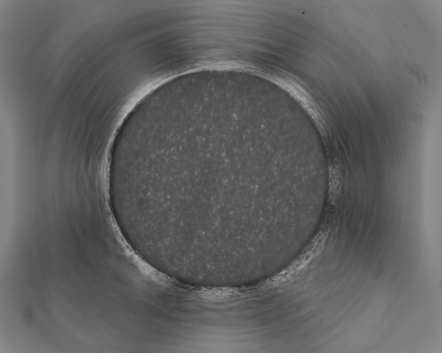 X0000112001046200908311110