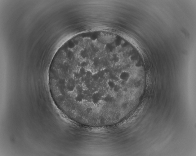 X0000112001047200908311110