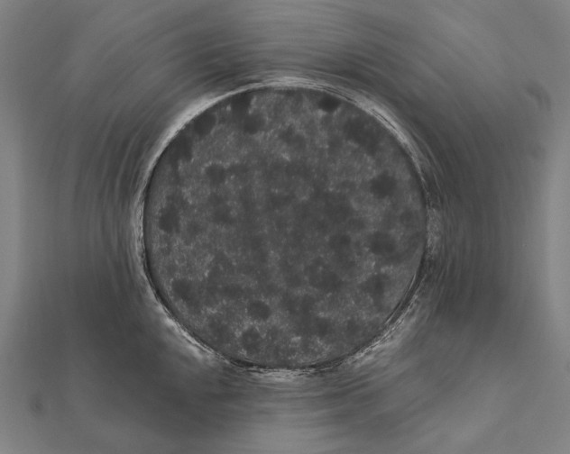 X0000112001048200908311110