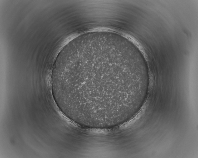 X0000112001049200908311110