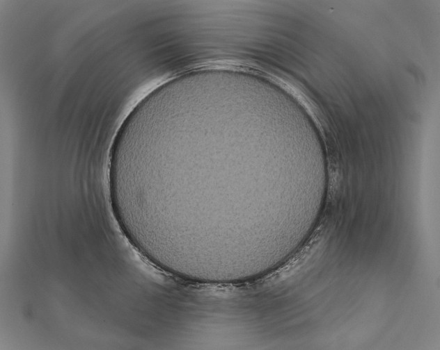 X0000112001050200908311110