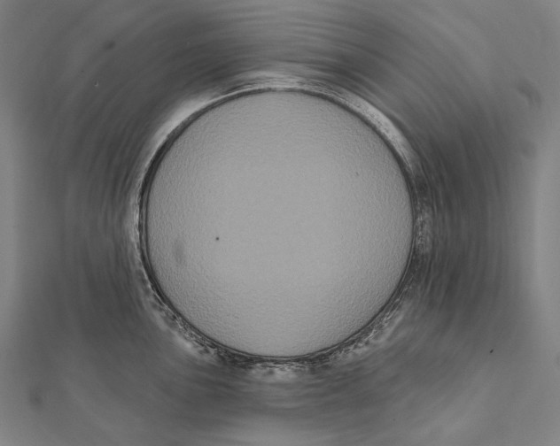 X0000112001051200908311110