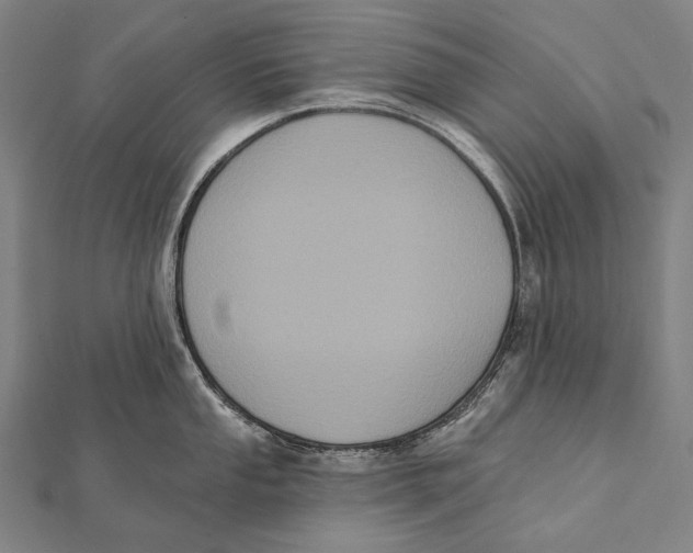 X0000112001053200908311110