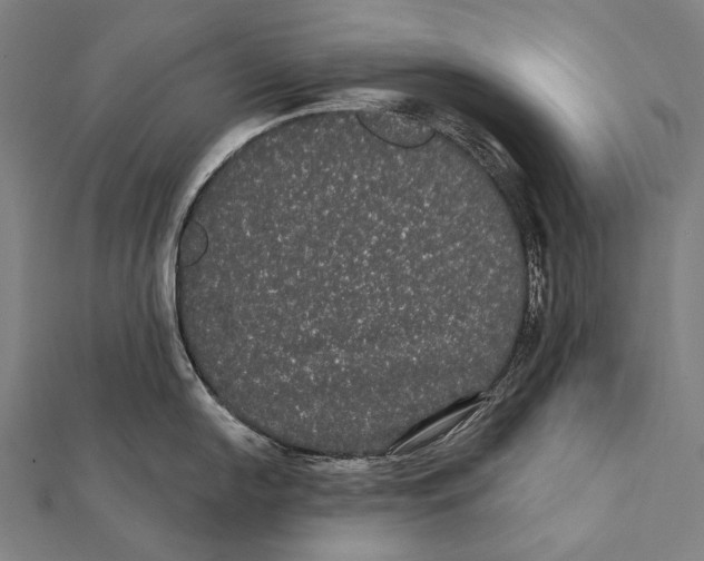 X0000112001054200908311110