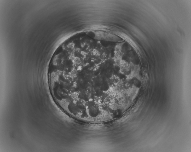 X0000112001055200908311110