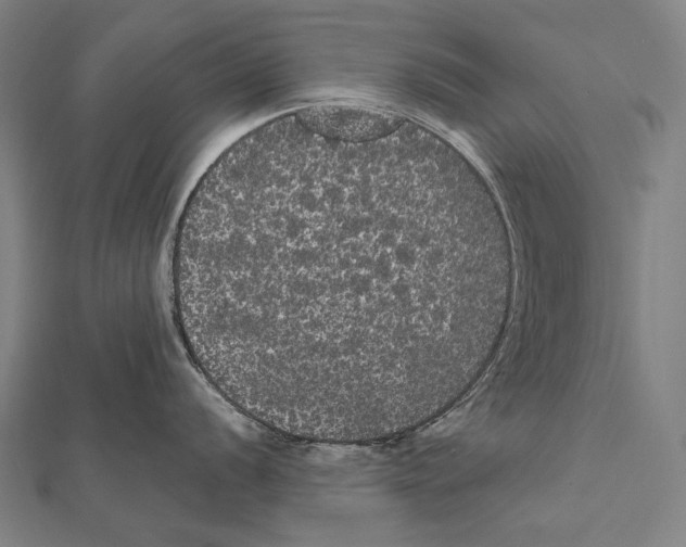 X0000112001056200908311110