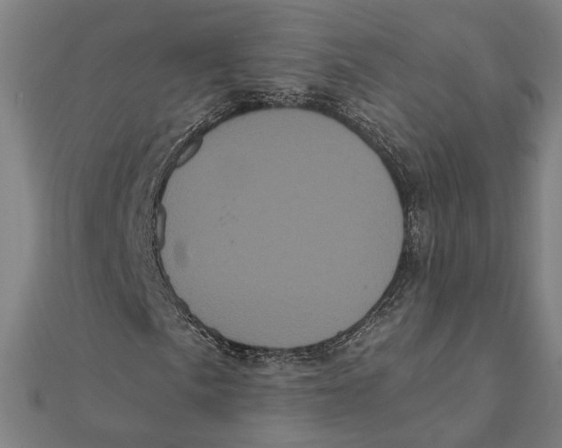 X0000112001057200908311109