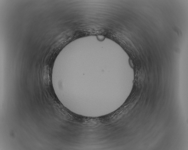 X0000112001058200908311109