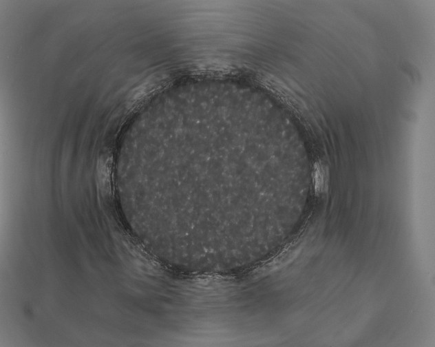 X0000112001059200908311109