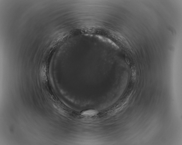 X0000112001060200908311109