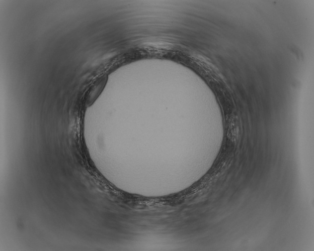 X0000112001061200908311109