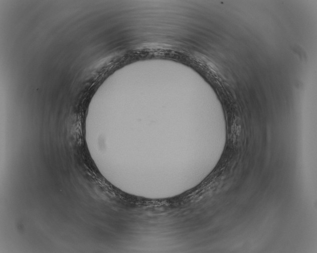 X0000112001062200908311109