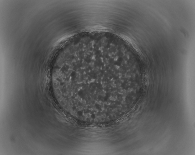 X0000112001063200908311109