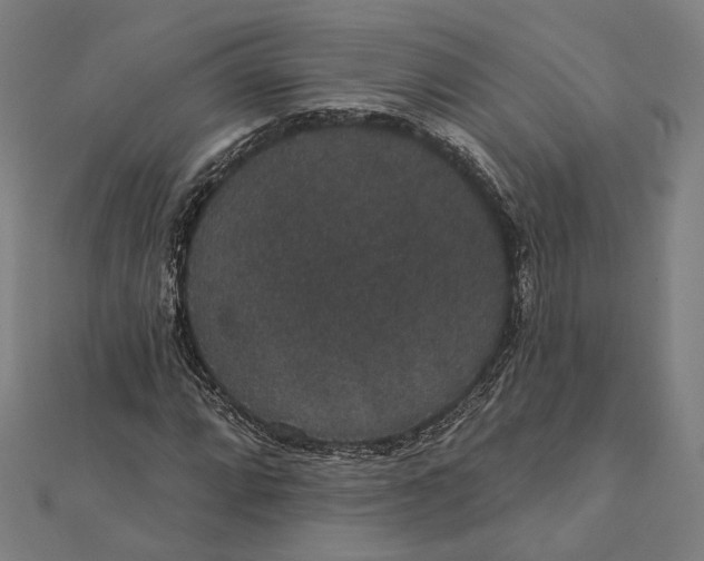 X0000112001064200908311109