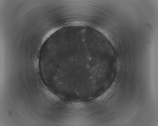 X0000112001066200908311109