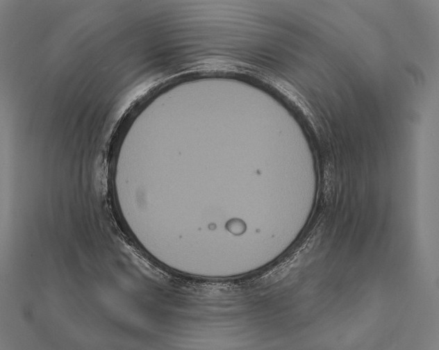 X0000112001067200908311109