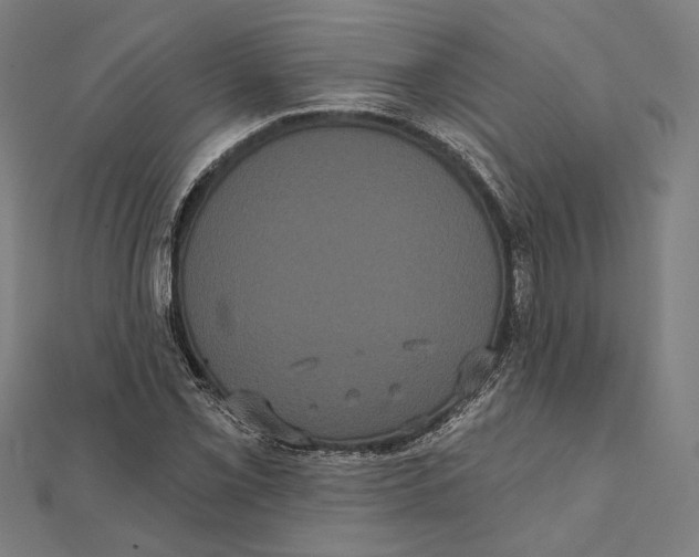 X0000112001069200908311109