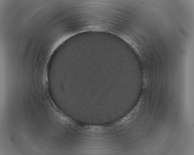 X0000112001070200908311109