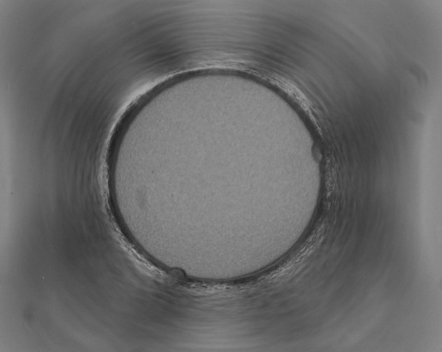 X0000112001072200908311109