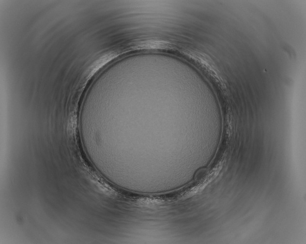 X0000112001073200908311109