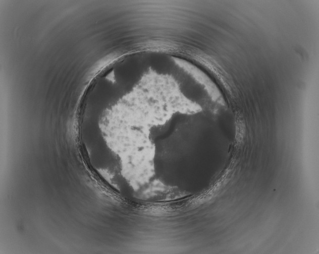 X0000112001074200908311109