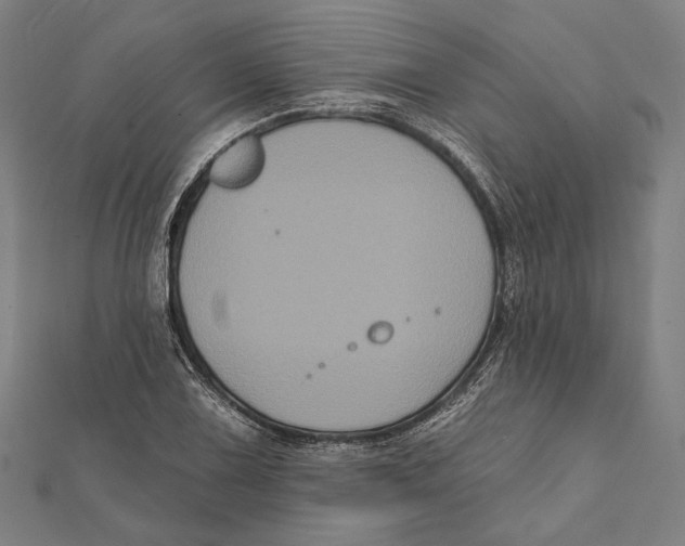 X0000112001075200908311109