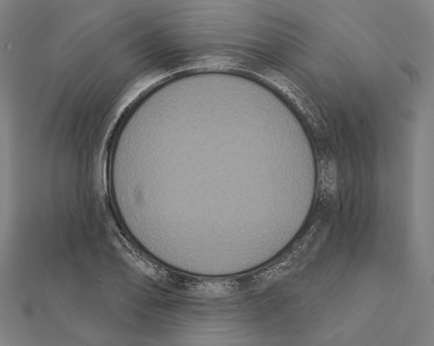 X0000112001078200908311109