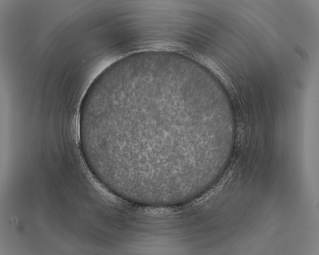 X0000112001079200908311109