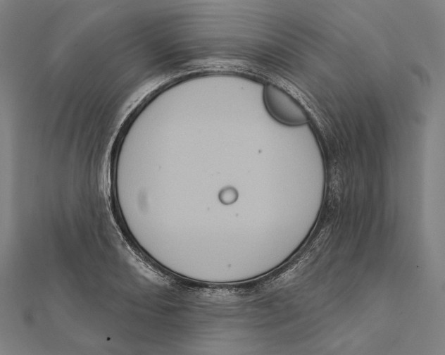 X0000112001082200908311109