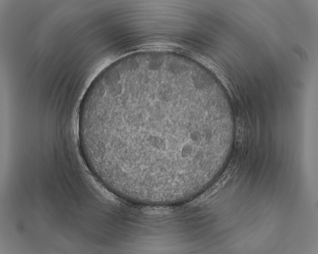 X0000112001083200908311109