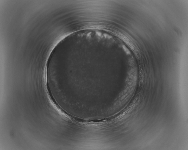 X0000112001084200908311109