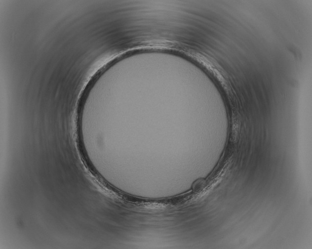 X0000112001085200908311109