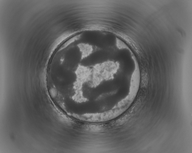 X0000112001086200908311109