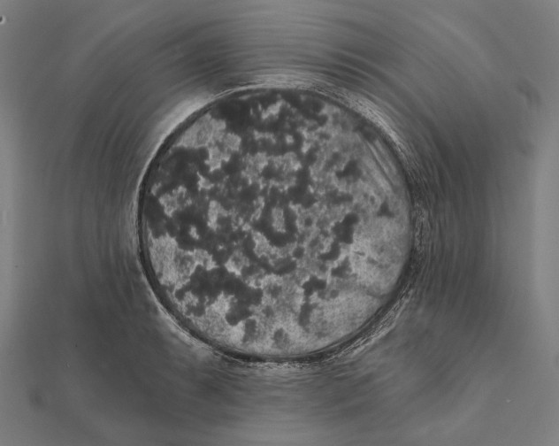 X0000112001087200908311109