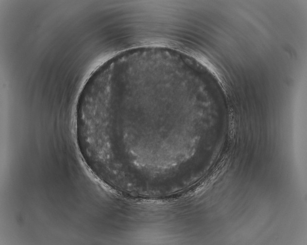 X0000112001088200908311109