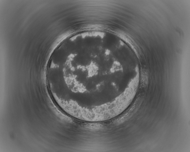 X0000112001090200908311109