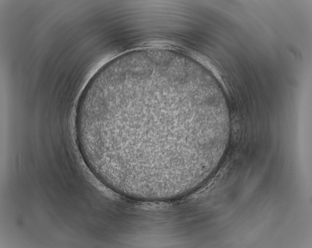 X0000112001091200908311109