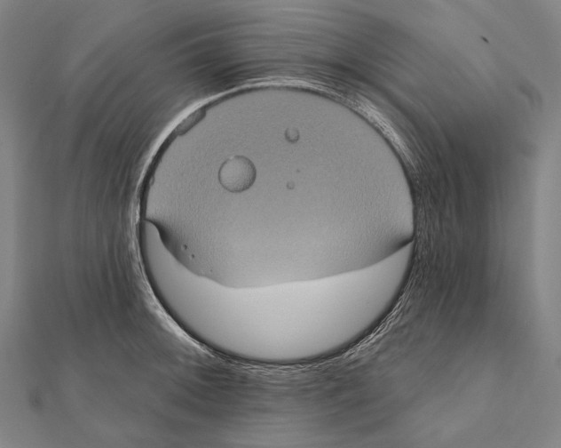 X0000112001092200908311109