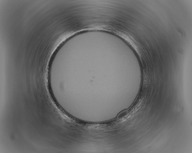 X0000112001093200908311109